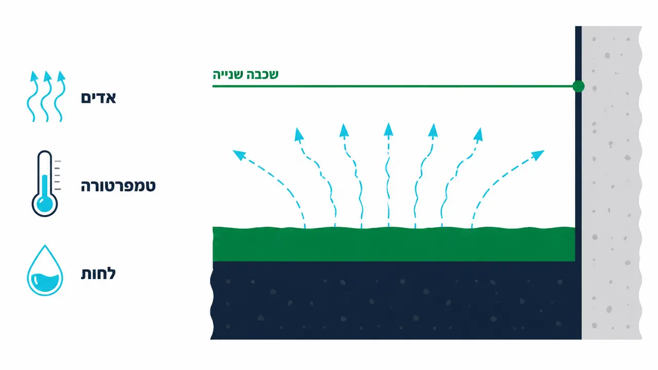 תוך כמה זמן מתייבש ומתי מותר שכבה נוספת?