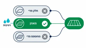 ‏מדריך לבחירת ציפוי רצפת אולם ספורט מקצועי