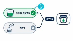 ‏מדריך מקיף: איך לעבוד נכון עם שרף אפוקסי